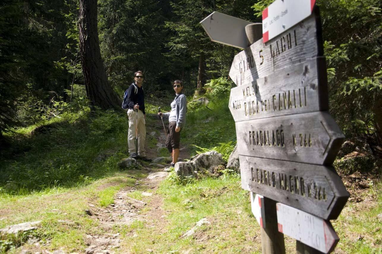 Rifugio Lago Nambino 마돈나 디 캄필리오 외부 사진